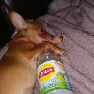 Meet your Posher, Pat